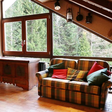 Fewo Schwarzwaldblick, 3 Schlafzimmer Todtnau-Muggenbrunn, Liftverbund Feldberg Екстериор снимка
