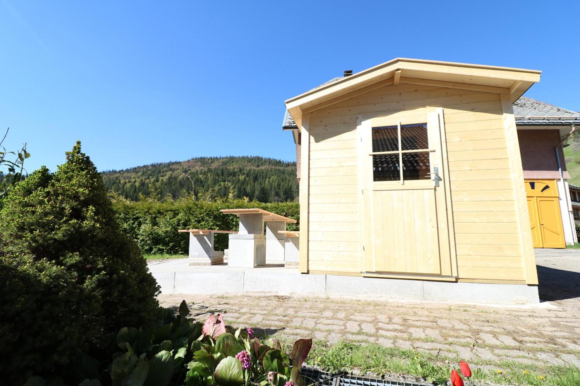 Fewo Schwarzwaldblick, 3 Schlafzimmer Todtnau-Muggenbrunn, Liftverbund Feldberg Екстериор снимка