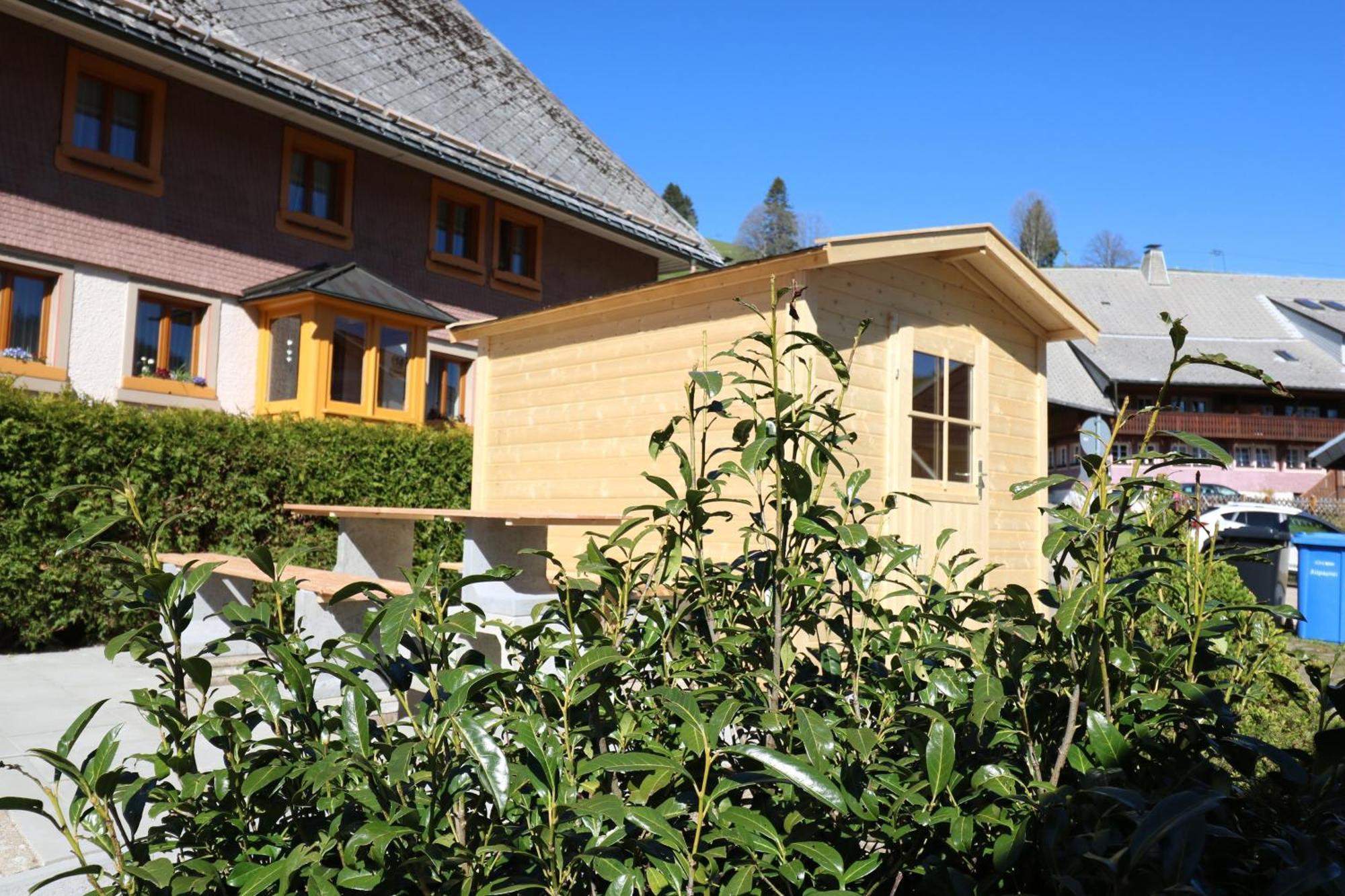 Fewo Schwarzwaldblick, 3 Schlafzimmer Todtnau-Muggenbrunn, Liftverbund Feldberg Екстериор снимка