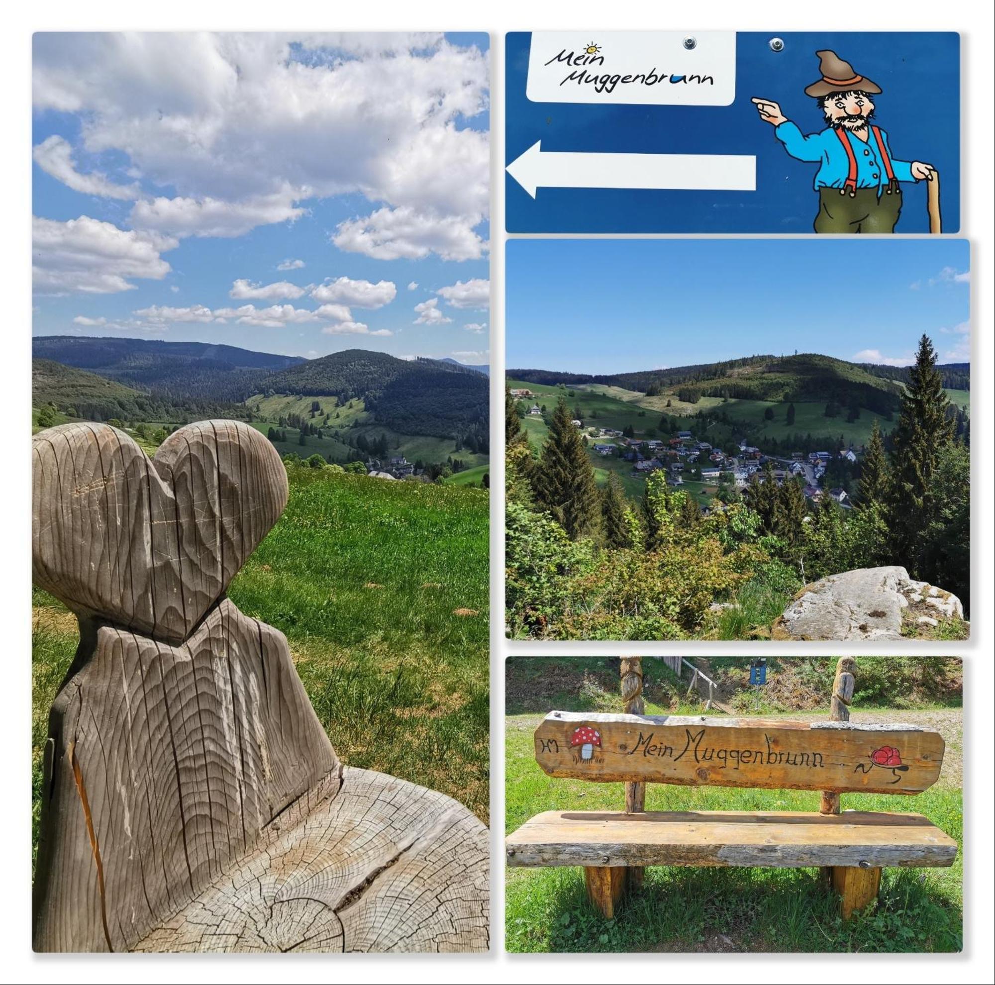 Fewo Schwarzwaldblick, 3 Schlafzimmer Todtnau-Muggenbrunn, Liftverbund Feldberg Екстериор снимка